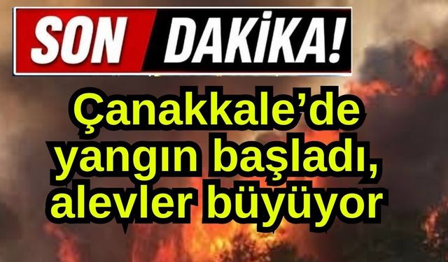 Çanakkale’de yangın başladı, alevler büyüyor!