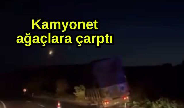 Kamyonet ağaçlara çarptı