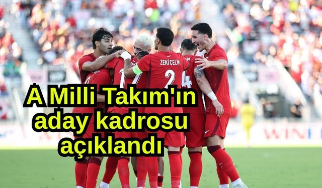 A Milli Takım'ın aday kadrosu açıklandı