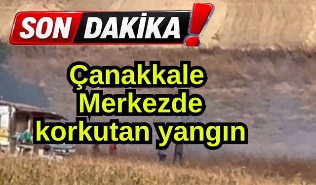 Çanakkale Merkezde korkutan yangın