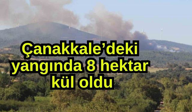 Çanakkale’deki yangında 8 hektar kül oldu