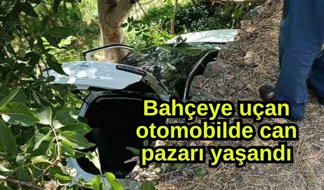 Bahçeye uçan otomobilde can pazarı yaşandı