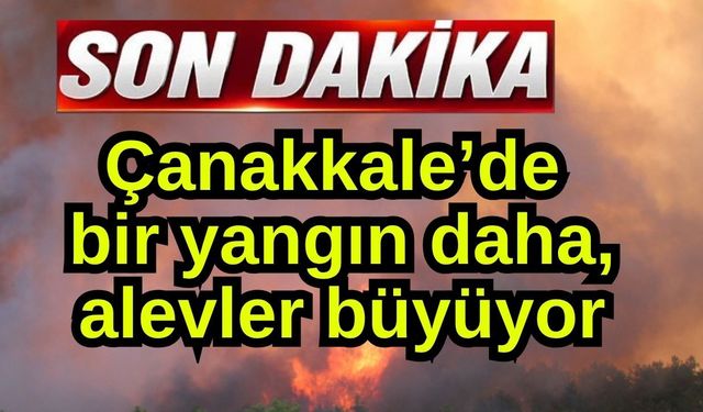 Çanakkale’de bir yangın daha, alevler büyüyor
