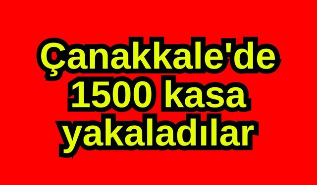 Çanakkale'de 1500 kasa yakaladılar
