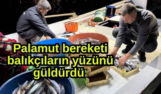 Palamut bereketi balıkçıların yüzünü güldürdü (Video)