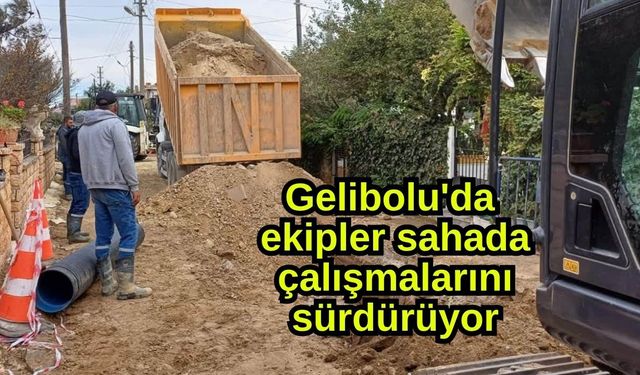 Gelibolu'da ekipler sahada çalışmalarını sürdürüyor