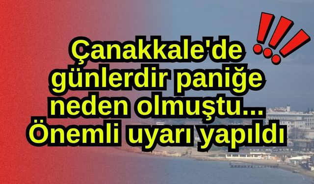 Çanakkale'de günlerdir paniğe neden olmuştu... Önemli uyarı yapıldı (Video)