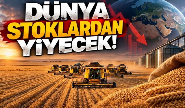 Tahılda düşüş beklentisi; dünya stoklardan yiyecek (Video)