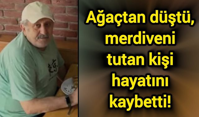 Ağaçtan düştü, merdiveni tutan kişi hayatını kaybetti!