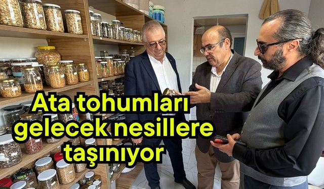 Ata tohumları gelecek nesillere taşınıyor