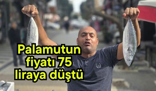 Palamutun fiyatı 75 liraya düştü