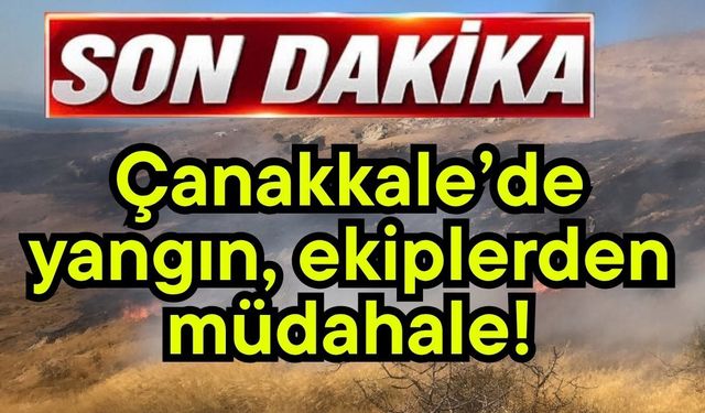 Çanakkale’de yangın, ekiplerden müdahale!