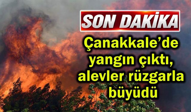Çanakkale’de yangın çıktı, alevler rüzgarla büyüdü