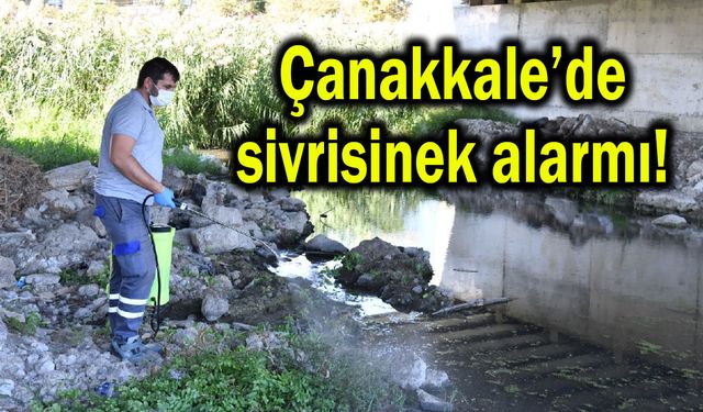 Çanakkale’de sivrisinek alarmı! Ekipler harekete geçti
