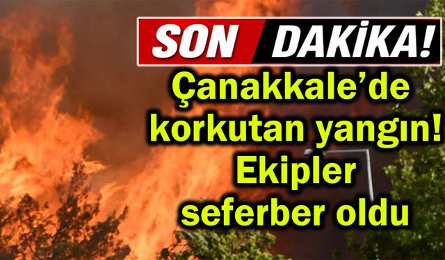 Çanakkale’de korkutan yangın! Ekipler seferber oldu (Video)