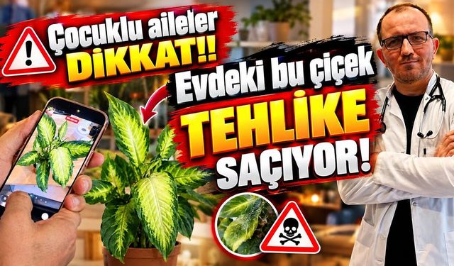 Çocuklu aileler dikkat! Evdeki bu çiçek tehlike saçıyor! (Video)