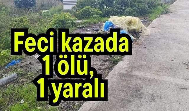 Feci kazada 1 ölü, 1 yaralı