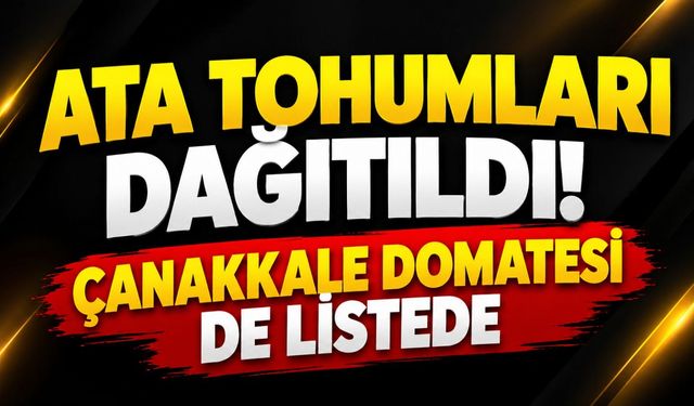 Ata Tohumları Dağıtıldı! Çanakkale Domatesi de Listede