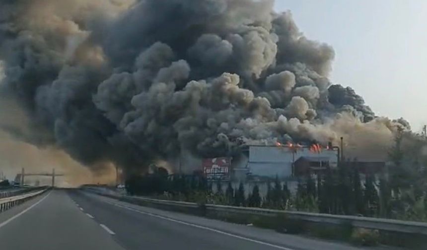 Kereste fabrikası alev alev yandı, dumanları kara yolunu kapladı