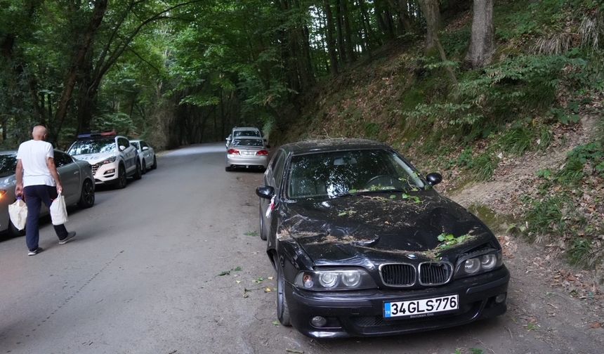 Belgrad Ormanı’nda ağaç araçların üzerine devrildi