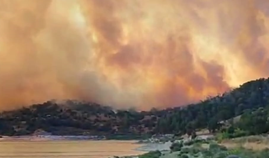 Çanakkale'de orman yangını büyüyor, alevler ilerliyor! (VİDEO)