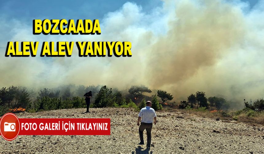 Bozcaada alev alev yanıyor (Fotoğraflar için tıklayın)