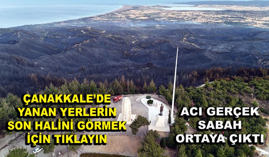 Çanakkale’de yanan yerlerin son halini görmek için tıklayın