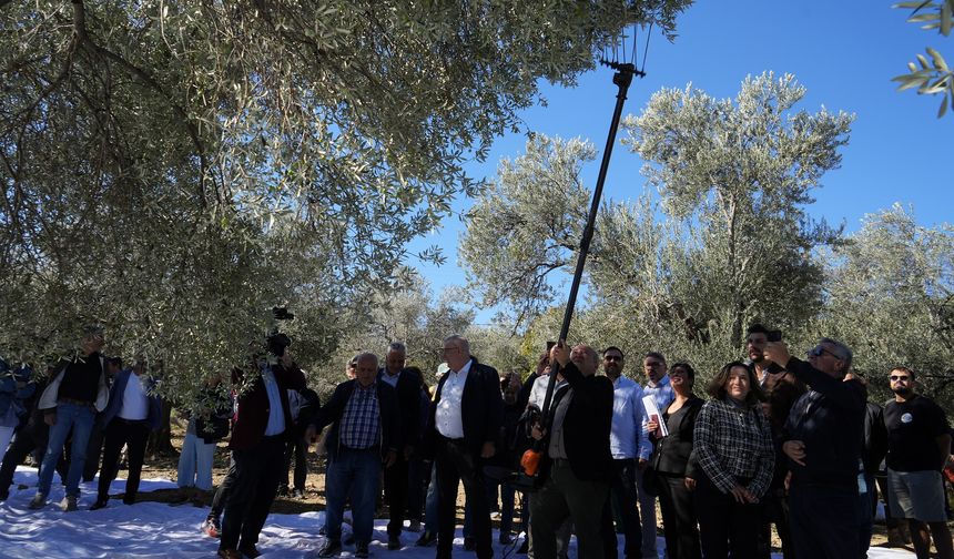 Ünlü şefler zeytinin, zeytinyağına yolculuğuna şahitlik ettiler