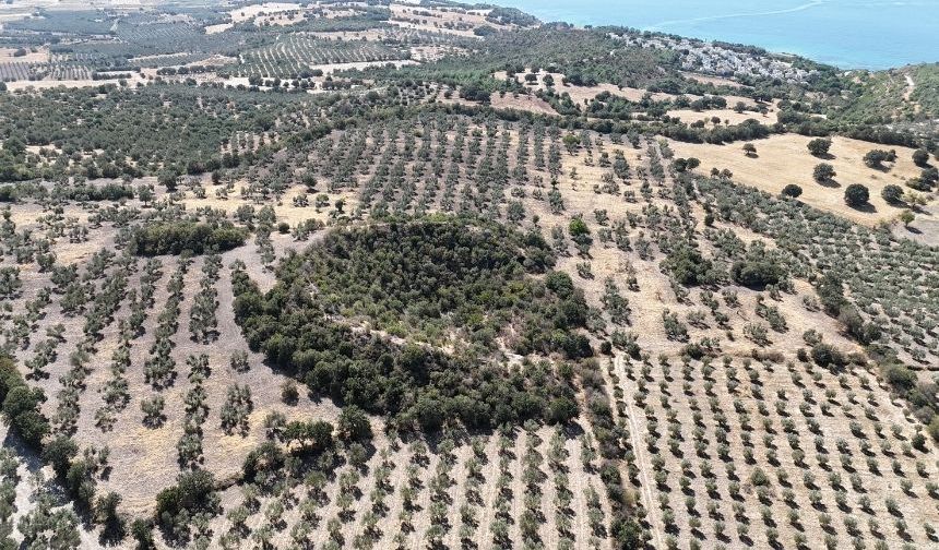 Çanakkale'de 2 bin 400 yıllık tiyatro (VİDEO)