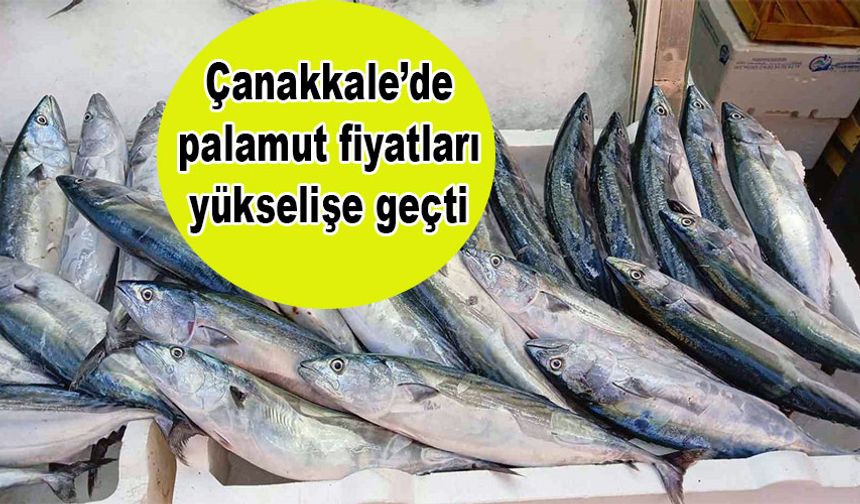 Çanakkale’de palamut fiyatları yükselişe geçti