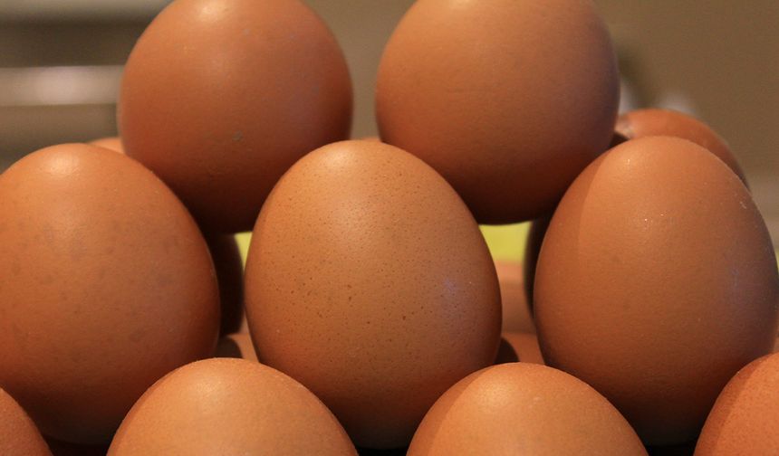 Yumurtada fiyatlar düşünce ihracatta fon kesintisinin kaldırılması istediler