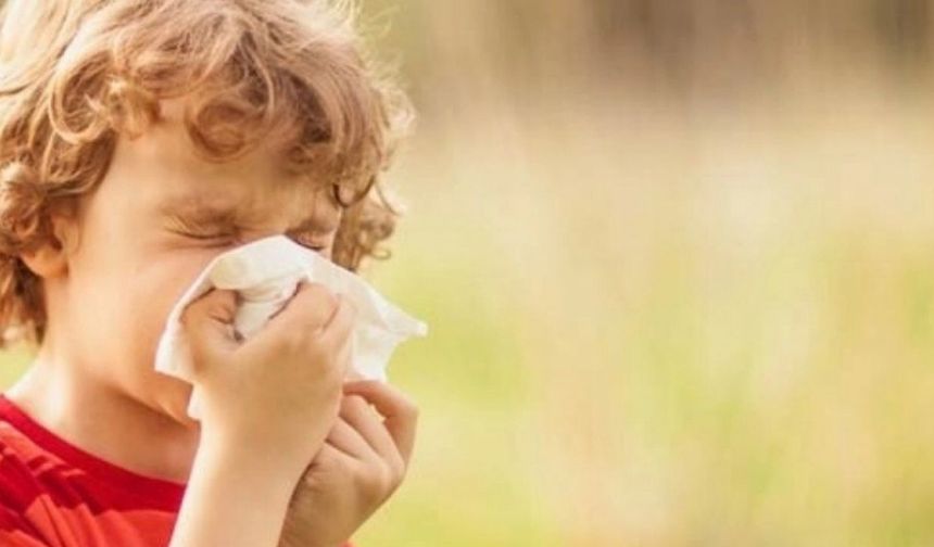 Bahar alerjisi ve solunum problemlerine çözüm