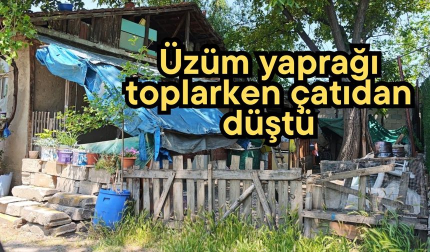 Üzüm yaprağı toplarken çatıdan düştü