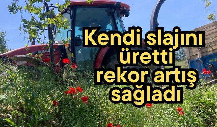 Kendi slajını üretti, rekor artış sağladı