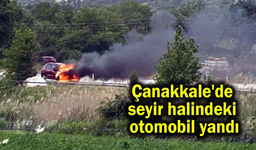 Çanakkale'de seyir halindeki otomobil yandı (Video)