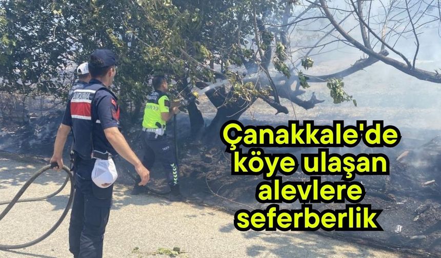 Çanakkale'de köye ulaşan alevlere seferberlik (Video)