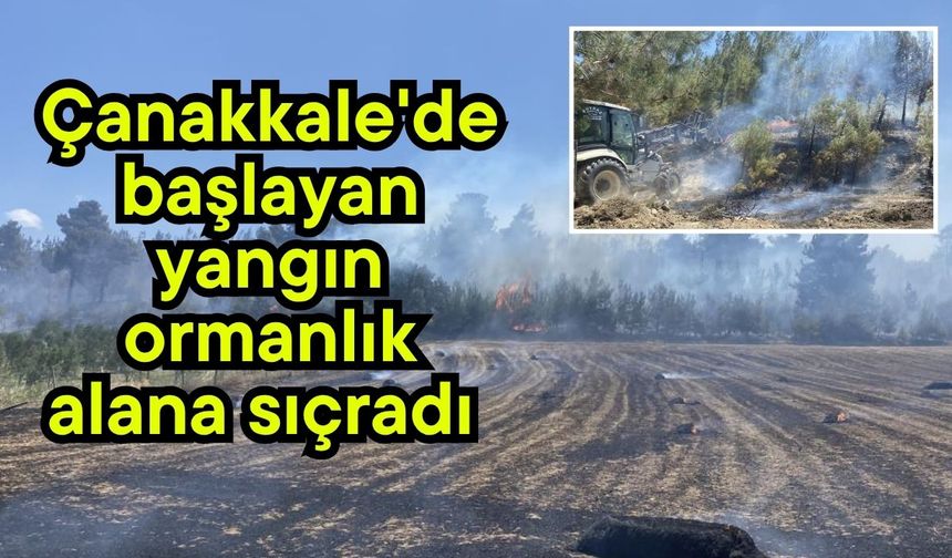 Çanakkale'de başlayan yangın ormanlık alana sıçradı (Video)