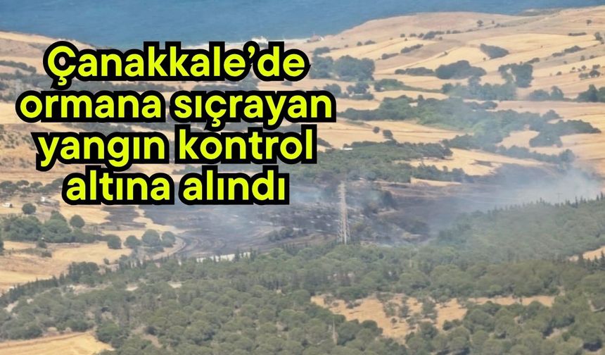 Çanakkale’de ormana sıçrayan yangın kontrol altına alındı