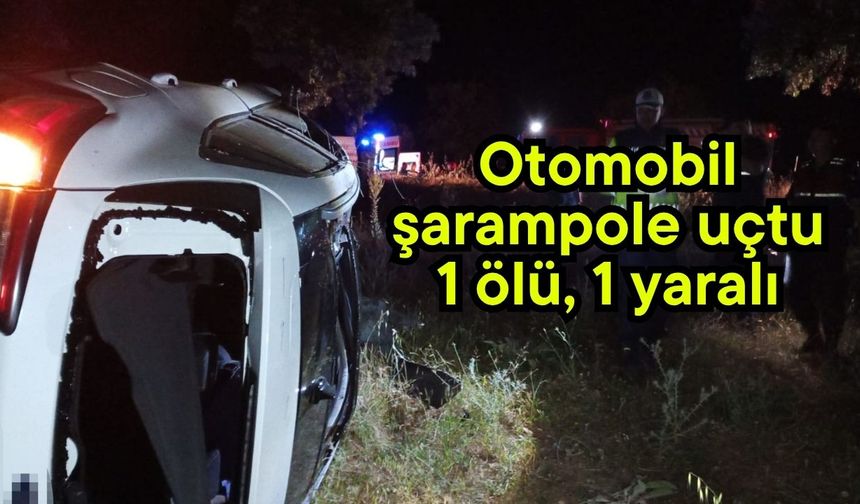 Otomobil şarampole uçtu 1 ölü, 1 yaralı