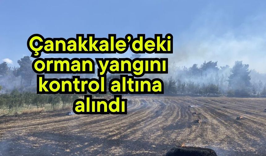 Çanakkale’deki orman yangını kontrol altına alındı