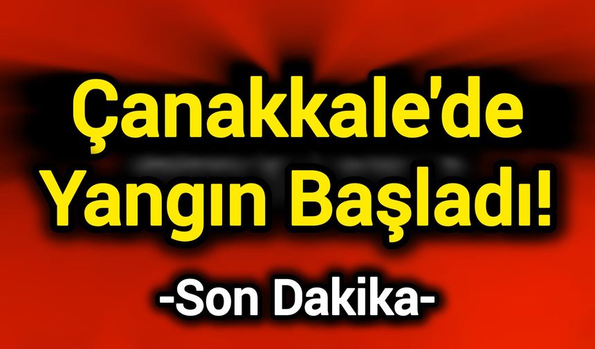 Çanakkale’de Yangın Başladı!