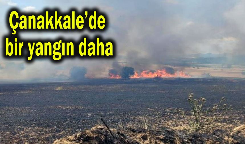 Çanakkale'de bir yangın daha