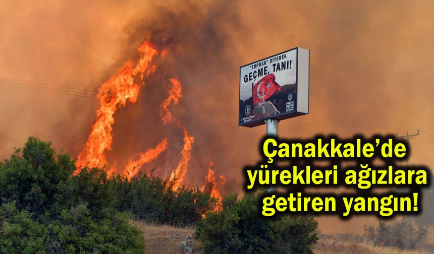 Çanakkale’de yürekleri ağızlara getiren yangın