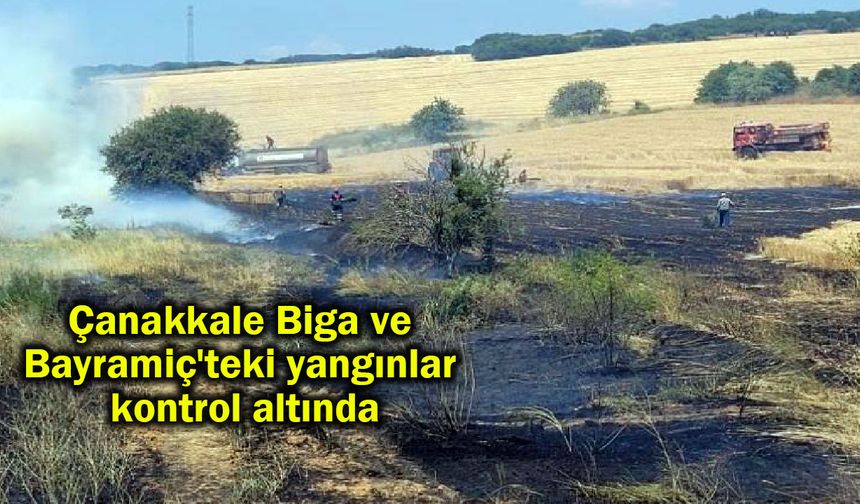 Çanakkale Biga ve Bayramiç'teki yangınlar kontrol altında