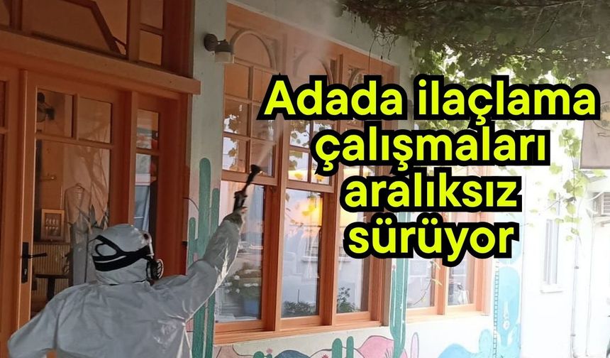 Adada ilaçlama çalışmaları aralıksız sürüyor
