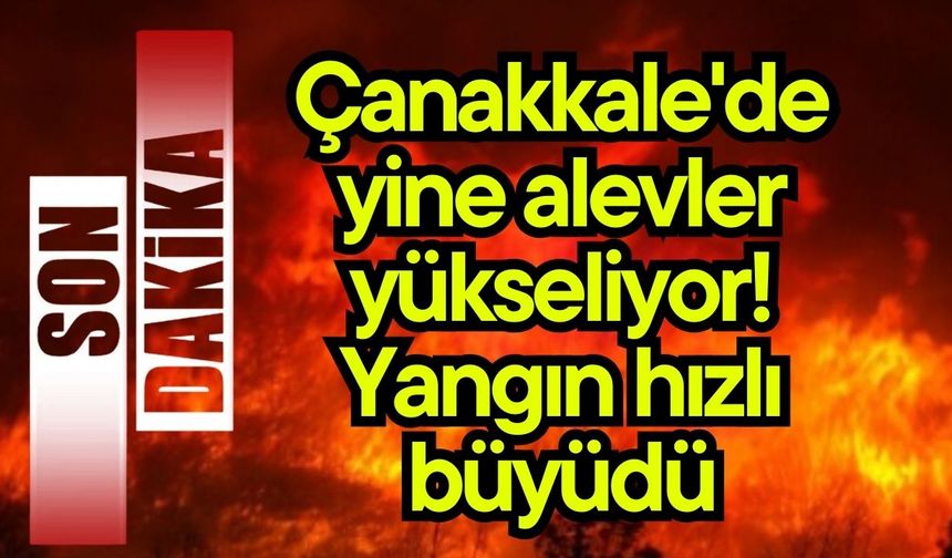Çanakkale'de yine alevler yükseliyor! Yangın hızlı büyüdü