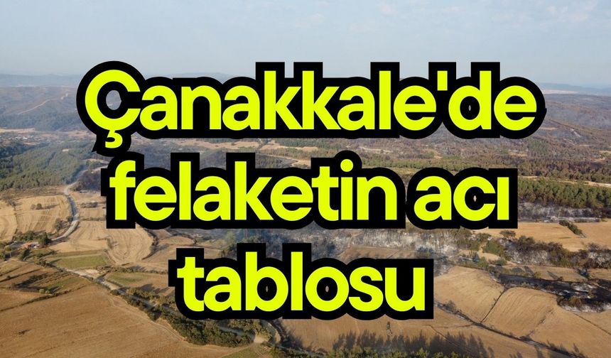 Çanakkale'de felaketin acı tablosu (Video)