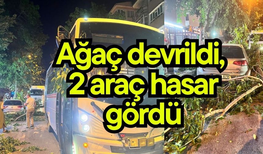 Ağaç devrildi, 2 araç hasar gördü (Video)