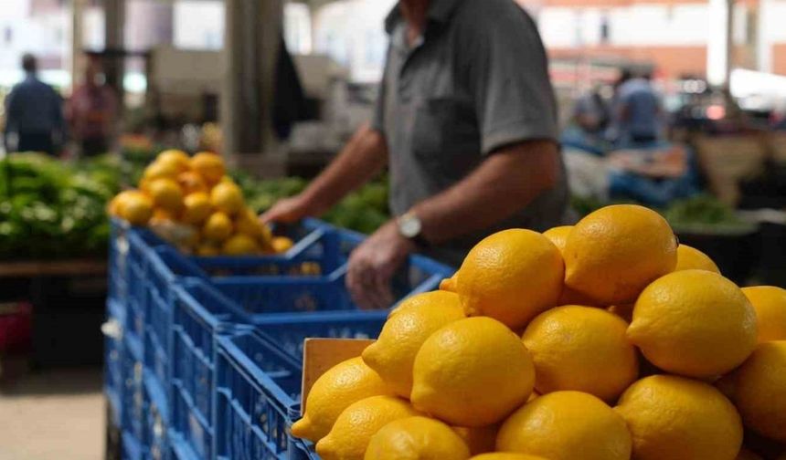 Limonda fiyat düşecek mi?