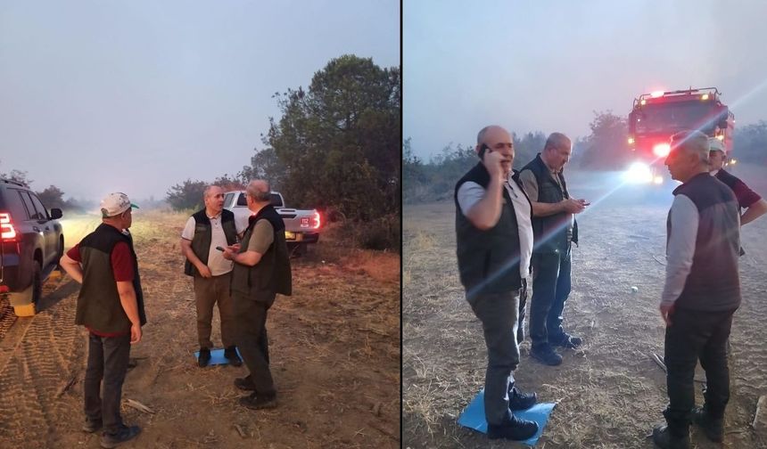 Çanakkale Valisi Toraman yangından etkilenen köyde incelemelerde bulundu